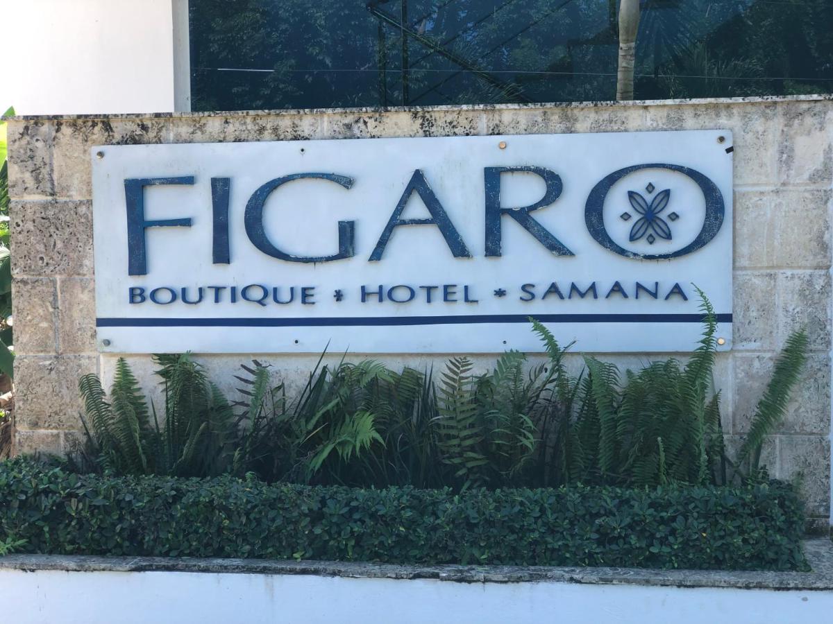 Figaro Hotel Samana Εξωτερικό φωτογραφία